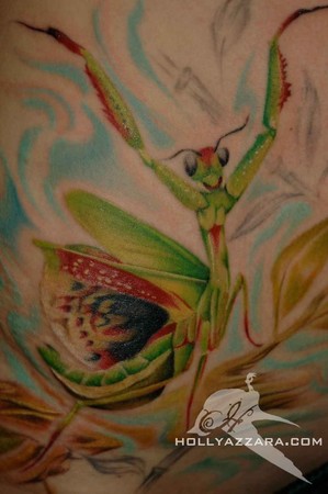 Holly Azzara - Praying Mantis Detail