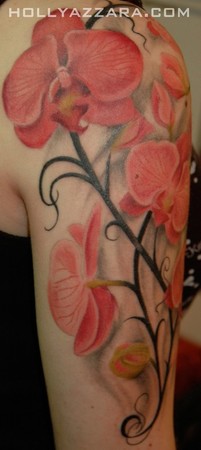 Holly Azzara - Orchids