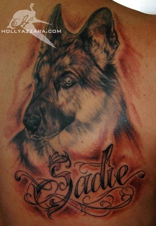 Holly Azzara - Sadie Dog Portrait