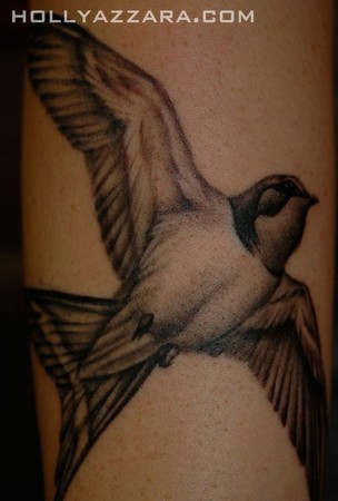 swallow tattoo designs. Swallow Tattoo Pictures.