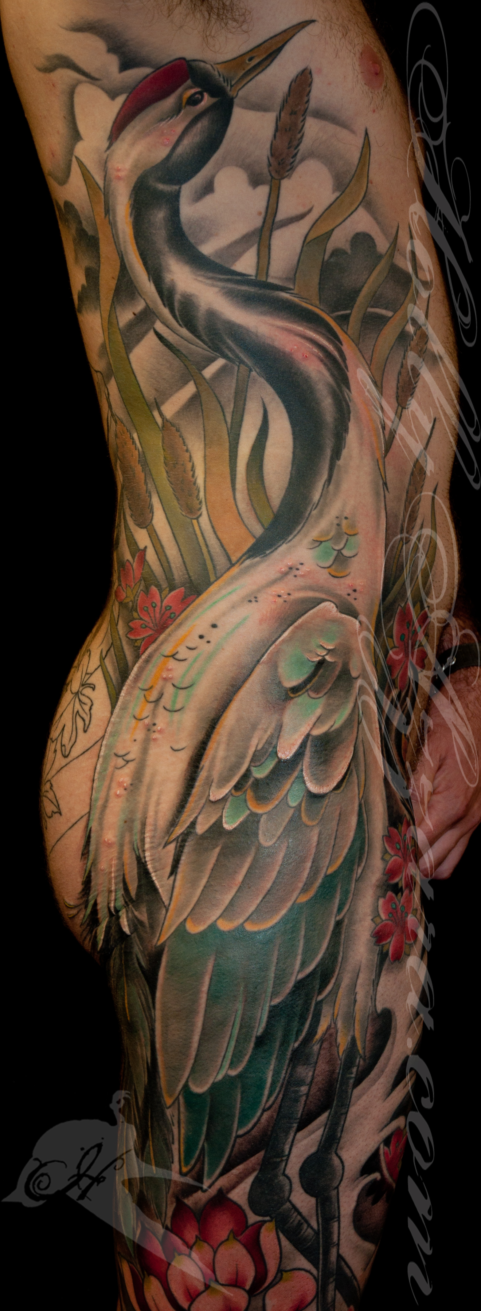 crane and koi fish ribs and leg sleeve detail by holly azzara crane and koi fish ribs and leg sleeve detail by holly azzara