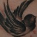 tattoo galleries/ - Brush Painted Inspired Bird