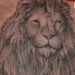 Tattoos - Realistic Lion Evian Tattoo Convention 2010, France - 47584