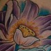 Tattoos - Purple Lotus Flower - 47582