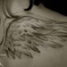 tattoo galleries/ - Black and Gray Wings Healed