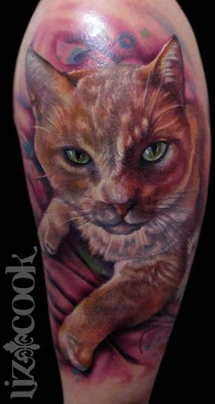 Liz Cook - Jasmins Cat Portrait