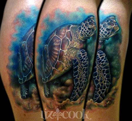 Liz Cook - Realistic Sea Turtle