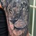 Tattoos - Black and Gray Lion - Fully Healed - 84307
