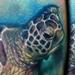 Tattoos - Realistic Sea Turtle - 63387