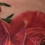 Tattoos - Bold Roses - 131254