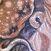 tattoo galleries/ - full color nautilus