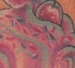Tattoos - Baltimore Tattoo Arts Convention Cupcake  - 33735