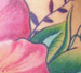 tattoo galleries/ - Pretty Pretty Hibiscus Tattoo