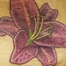 tattoo galleries/ - Stargazer Lily - 50952