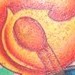 tattoo galleries/ - fired up - 36563
