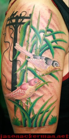 Tattoos - Jason Ackerman - 