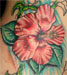 tattoo galleries/ - first collaboration