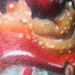 Tattoos -  - 43207