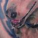 tattoo galleries/ - dog 2