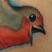 tattoo galleries/ - Bird Neck Tattoo