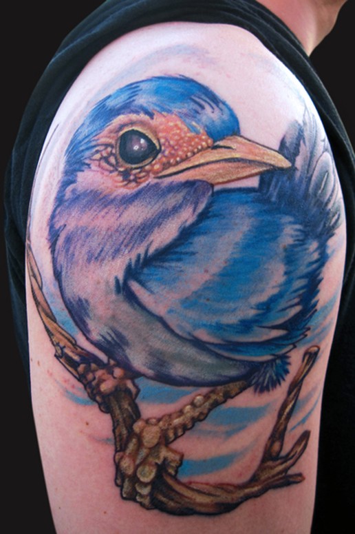 Katelyn Crane - Blue Bird