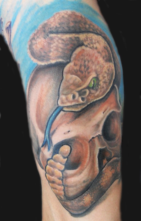 Katelyn Crane - Rattlesnake and Skull