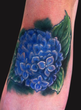 Katelyn Crane - Hydrangea Flower