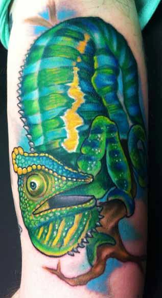 Katelyn Crane - Chameleon Tattoo