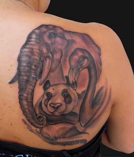 Katelyn Crane - The Elephant, Panda and Flamingo Tattoo