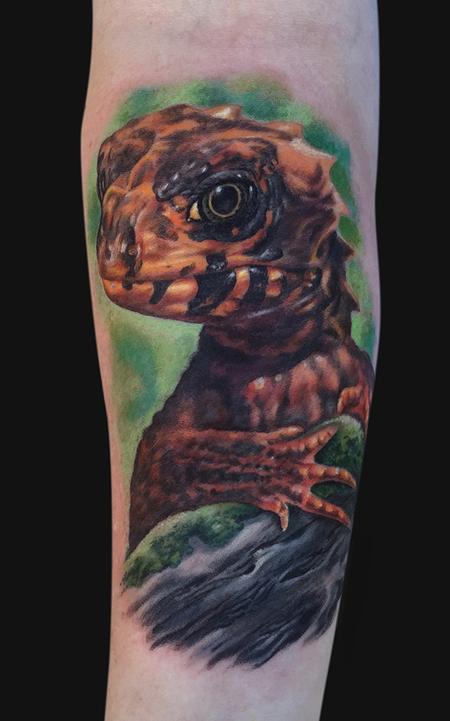 Tattoos - Red Eyed Croc Skink Arm Tattoo - 104288