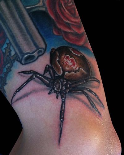 Katelyn Crane - Brown Widow Spider
