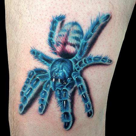 Tattoos - Tarantula - 103521