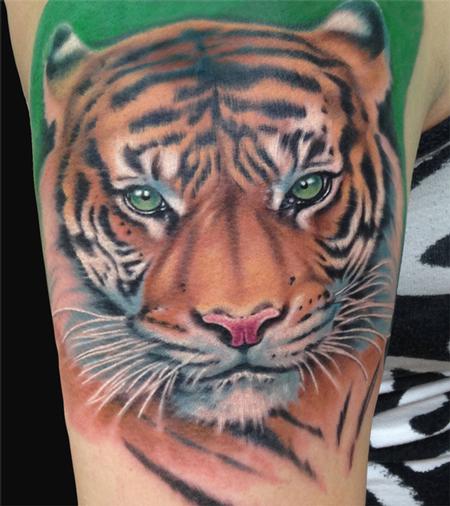 Tattoos - Tiger tattoo - 101133