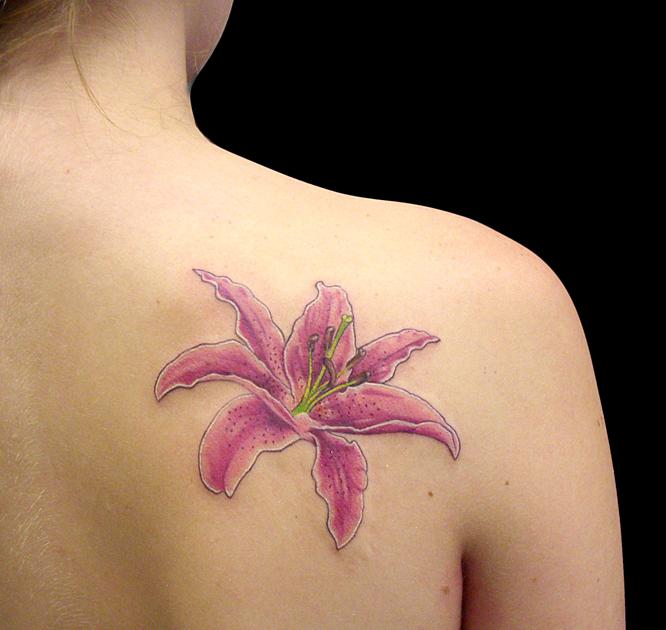 Marc Durrant - Pink Stargazer lily
