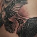 Tattoos -  - 44134