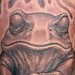 Tattoos - Frogs Tattoo - 35636