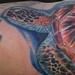 Tattoos - Green Hawaiian Sea Turtle - 56274