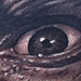 Tattoos - Bela Lugosi eyes - 68115