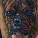 English Bulldog Tattoo Tattoo Design Thumbnail