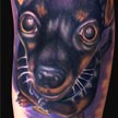 Min Pin Dog tattoo Tattoo Thumbnail