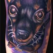 Tattoos - Min Pin Dog tattoo - 59706