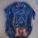 Tattoos - Rottweiler Tattoo - 57861