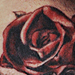 Human Heart & Rose tattoo Tattoo Thumbnail