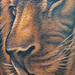 Tattoos - Black and Gray Lion - 69075