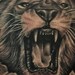 Tattoos -  - 44137