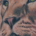 Tattoos - Lion with Crown Tattoo - 54277