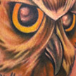 Tattoos - Owl and Mouse tattoo - 56311