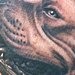 Champ the pit bull Tattoo Thumbnail