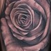 Tattoos -  - 44142