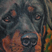 Tattoos - Rottweiler Tattoo - 70441